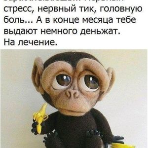 Meet your Posher, Pavel